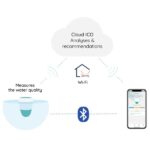 Smart water thermometer with App analysis